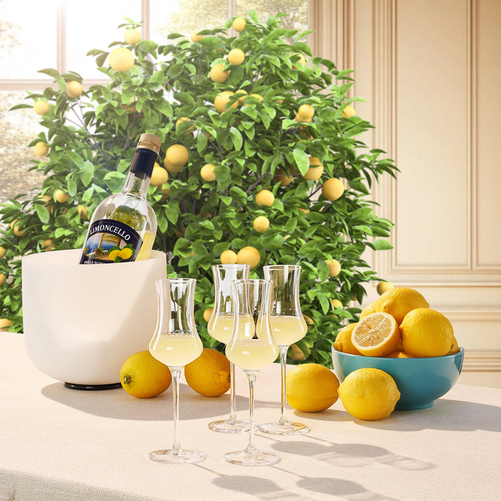 Specialty Limoncello Cocktail Glassware, Set of 4